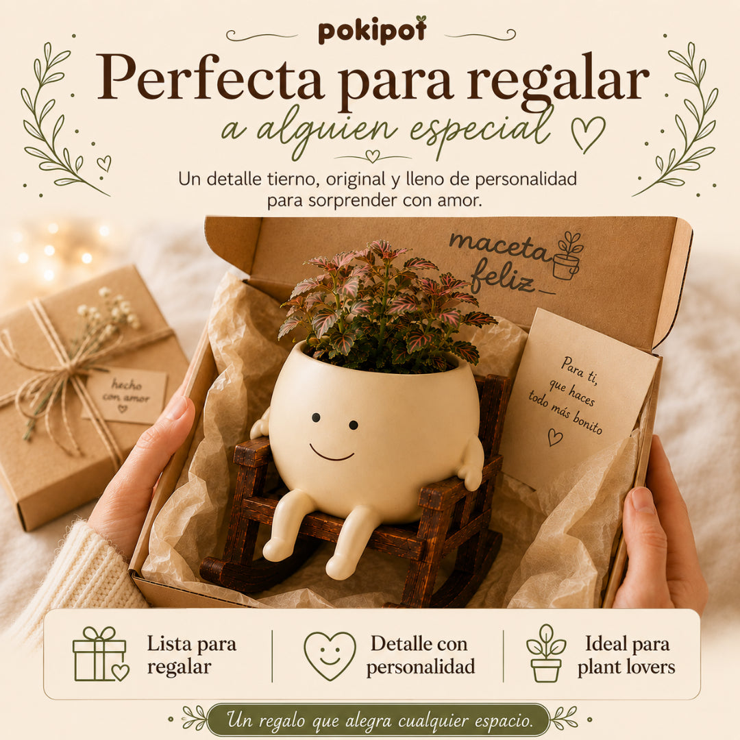 🍀Pokipot™ Maceta Feliz,Maceta con forma de carita sonriente, linda y perezosa🪴