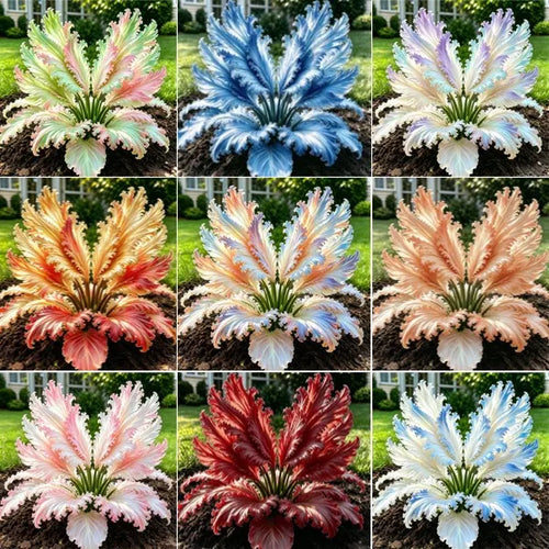 🌱Rare Swan Feather Hosta Bulbs -🦢 Graceful Foliage That Unfolds Like Swan Wings