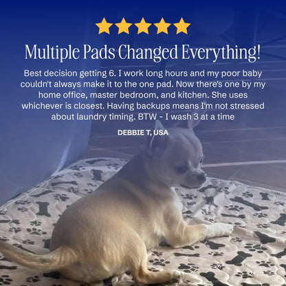 🎉🎉49% OFF This Week Promotions🐶PupyMat: stylish, super absorbent & reusable for a cleaner home.