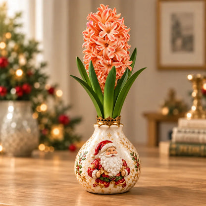 🌱 Hyacinth Bulbs – Start With a Bulb, Watch the Beauty Unfold