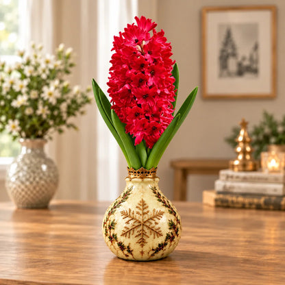 🌱 Hyacinth Bulbs – Start With a Bulb, Watch the Beauty Unfold