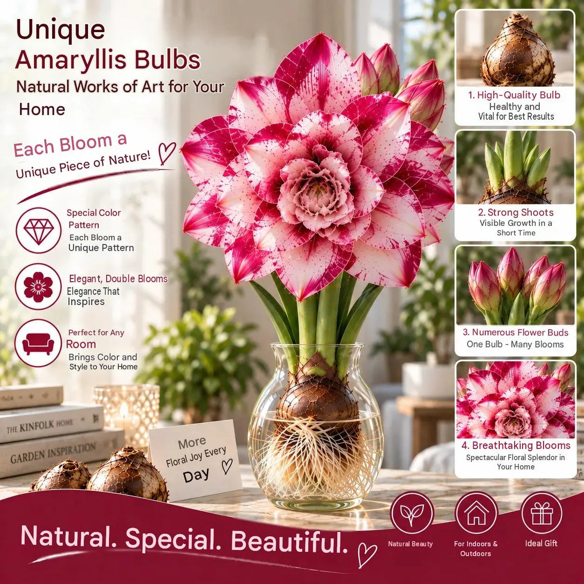 🌺 Amaryllis Bulbs– Dramatic Blooms, Effortless Grace! 🌿✨