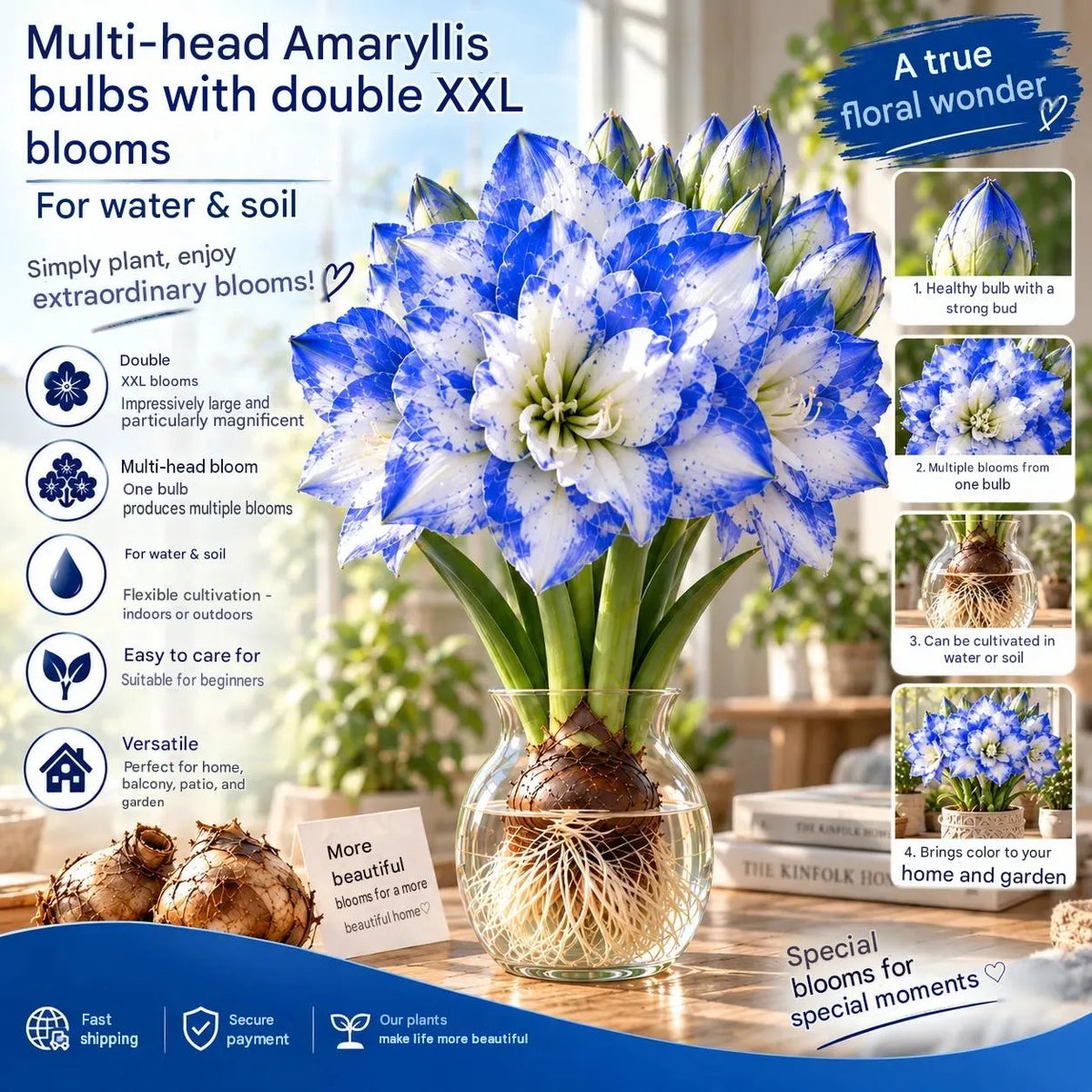 🌺 Amaryllis Bulbs– Dramatic Blooms, Effortless Grace! 🌿✨