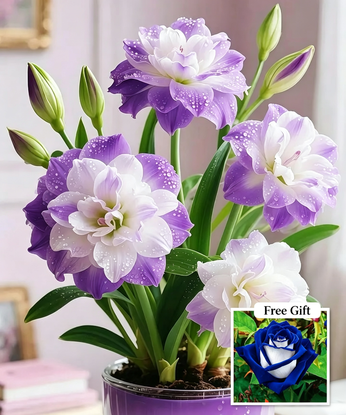 🌺 Amaryllis Bulbs– Dramatic Blooms, Effortless Grace! 🌿✨