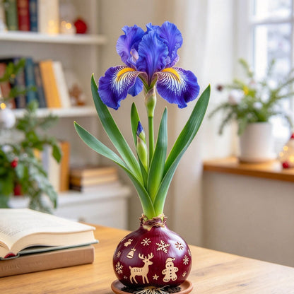 💙Rare Waxed Iris Bulbs – Soil-Free Flower Decor