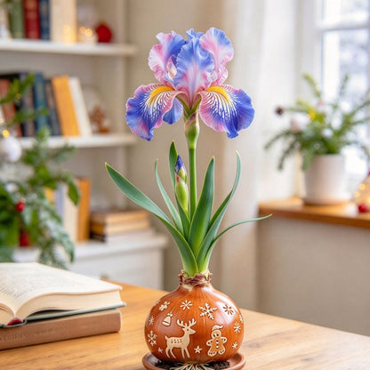 💙Rare Waxed Iris Bulbs – Soil-Free Flower Decor