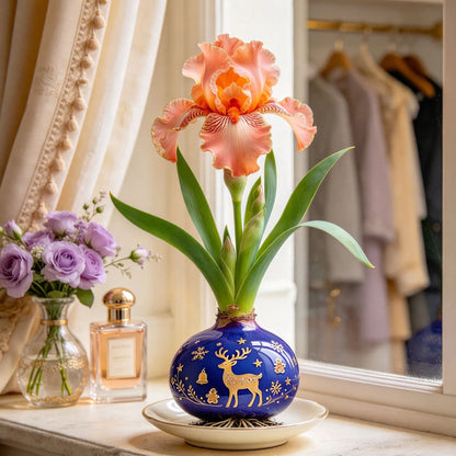💙Rare Waxed Iris Bulbs – Soil-Free Flower Decor