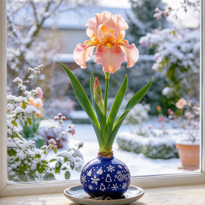 💙Rare Waxed Iris Bulbs – Soil-Free Flower Decor
