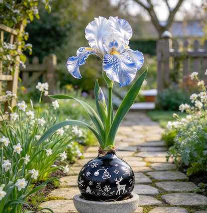 💙Rare Waxed Iris Bulbs – Soil-Free Flower Decor